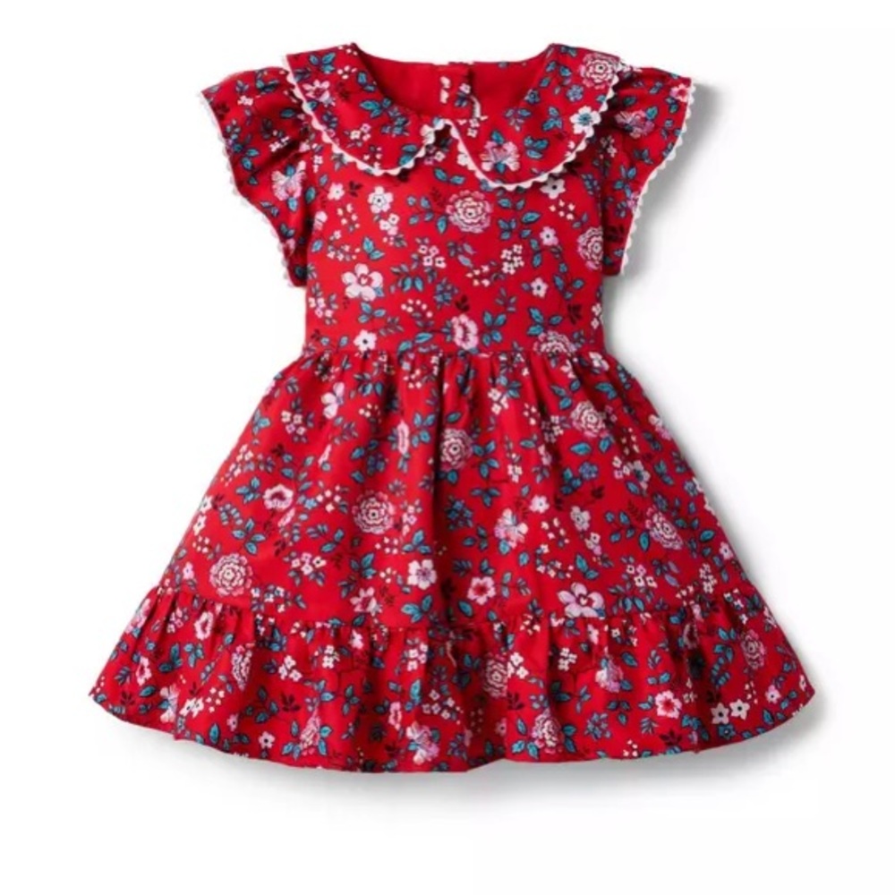 Janie and Jack Dress